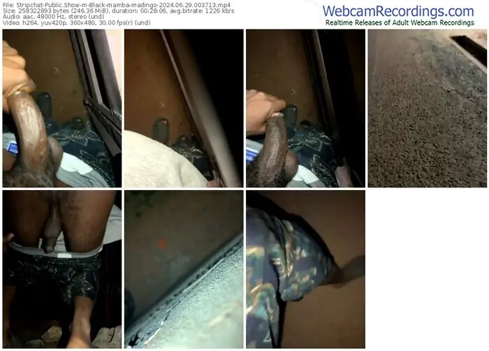 2024/06/29/stripchat-black-mamba-madingo-00-37-13