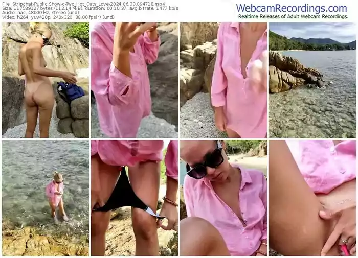 2024/06/30/stripchat-two_hot_cats_love-09-47-18