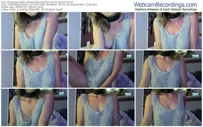 2024/06/30/stripchat-biene-01-04-15