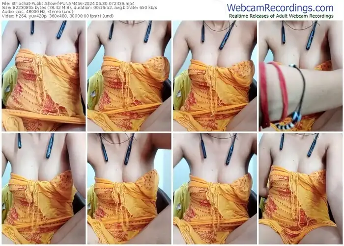 2024/06/30/stripchat-punam456-07-24-39