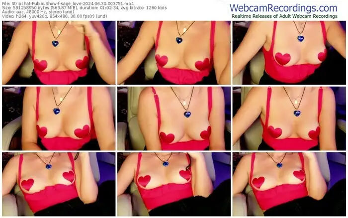 2024/06/30/stripchat-sage_love-00-37-51