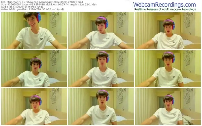 2024/06/30/stripchat-gaygamogey-22-08-25