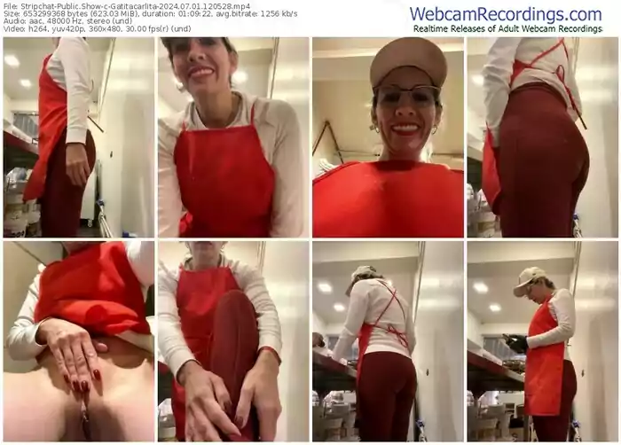 2024/07/01/stripchat-gatitacarlita-12-05-28