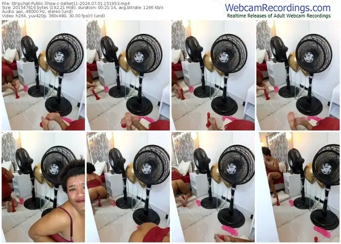 2024/07/01/stripchat-selket11-15-19-53