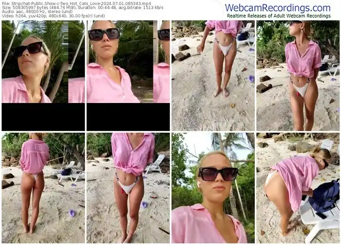 2024/07/01/stripchat-two_hot_cats_love-08-53-43