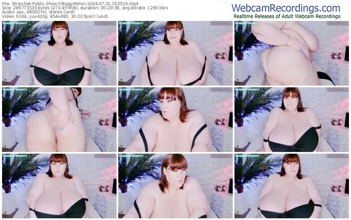 2024/07/01/stripchat-biggymelon-15-35-19