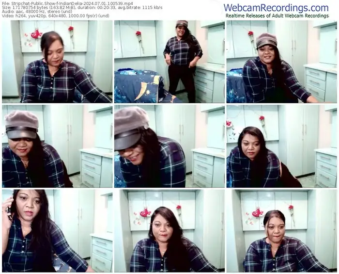 2024/07/01/stripchat-indiandelia-10-05-39