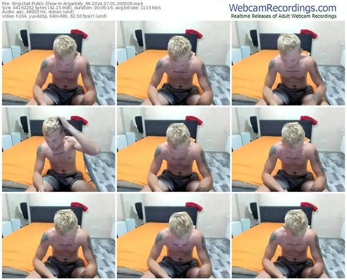 2024/07/01/stripchat-argantely_69-20-05-09