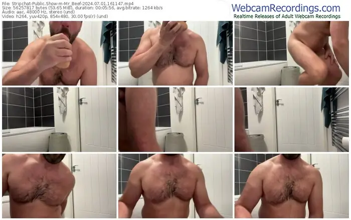 2024/07/01/stripchat-mr_beef-16-11-47