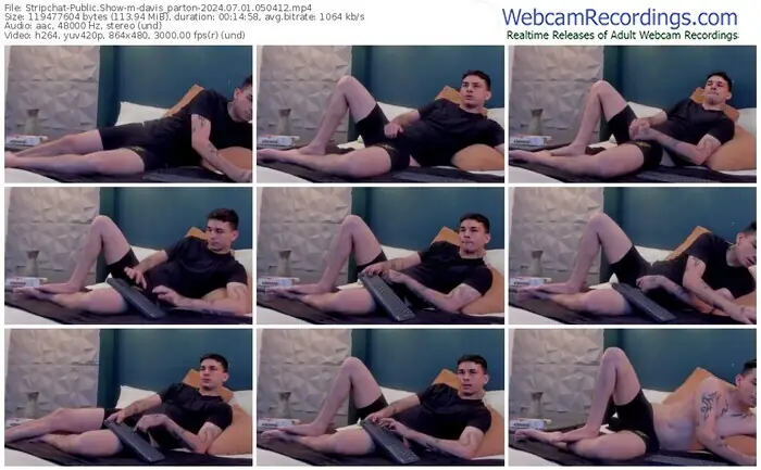 2024/07/01/stripchat-davis_parton-05-04-12