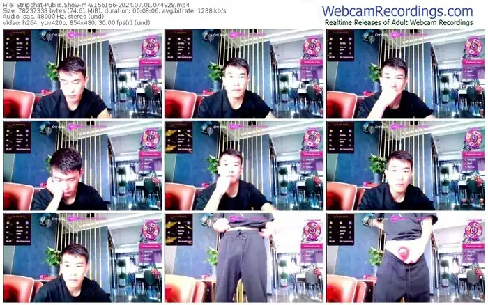 2024/07/01/stripchat-w156156-07-49-28