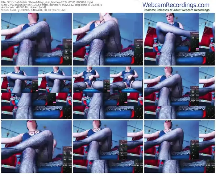 2024/07/01/stripchat-trixy_star_horney-00-08-09