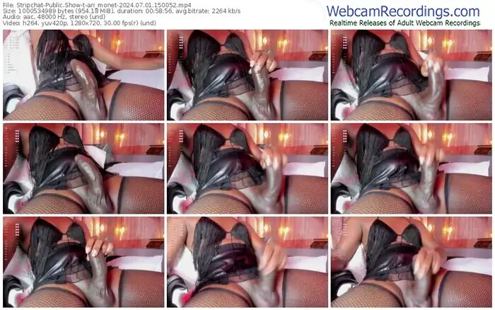 2024/07/01/stripchat-ari_monet-15-00-52
