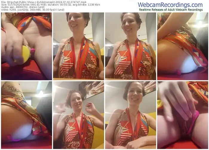 2024/07/02/stripchat-exhibitionsplit-07-47-47