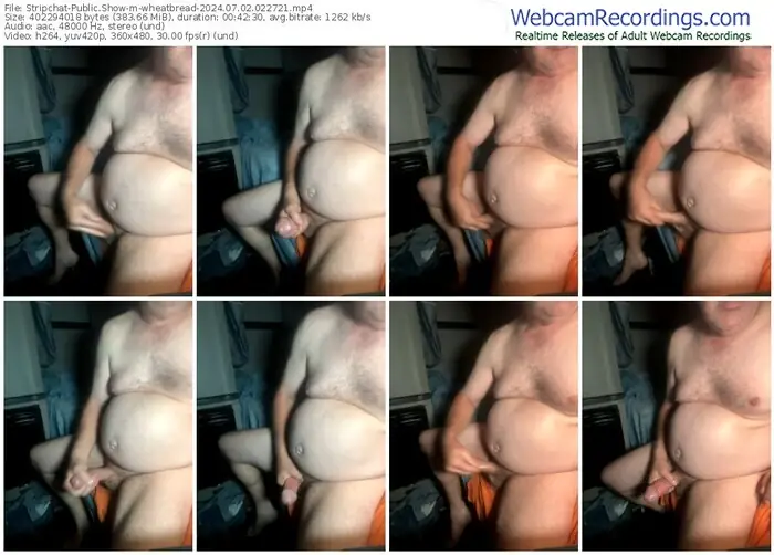 2024/07/02/stripchat-wheatbread-02-27-21