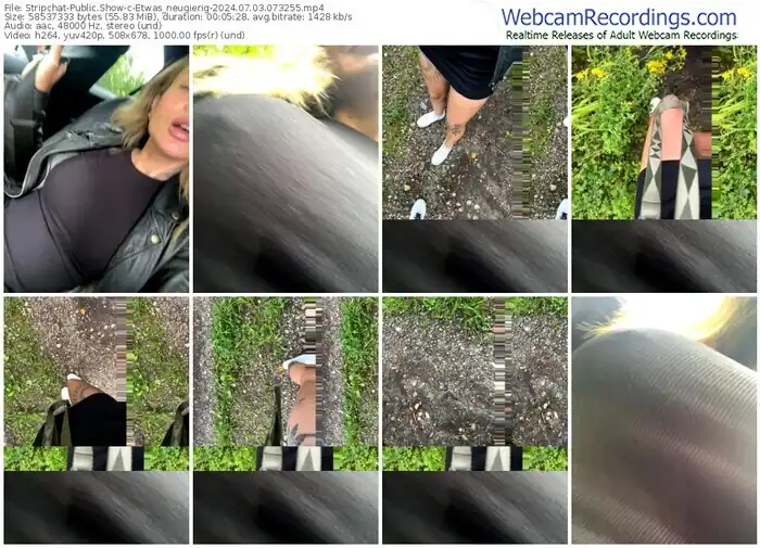 2024/07/03/stripchat-etwas_neugierig-07-32-55