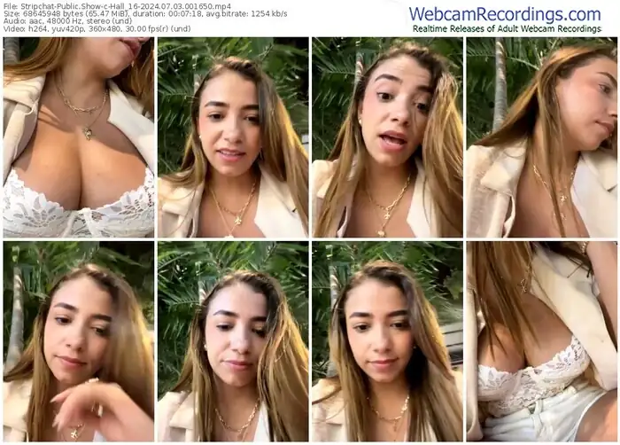 2024/07/03/stripchat-hall_16-00-16-50