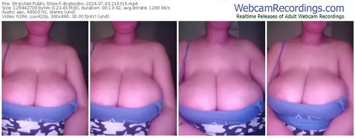 2024/07/03/stripchat--bigboobs--21-43-16