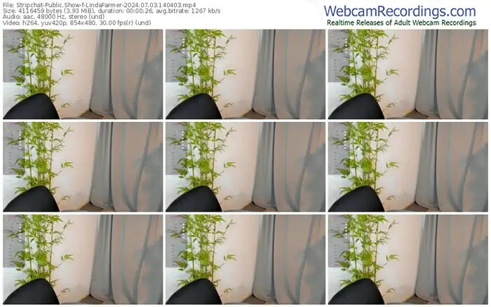 2024/07/03/stripchat-lindafarmer-14-04-03
