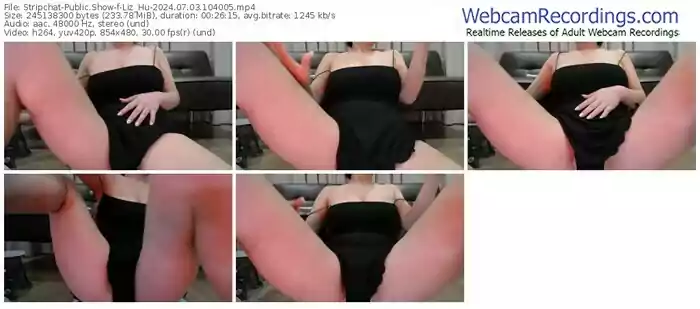 2024/07/03/stripchat-liz_hu-10-40-05