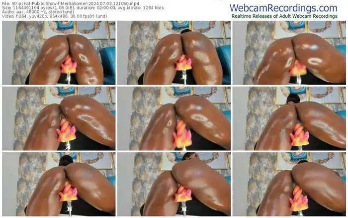 2024/07/03/stripchat-merliasomer-12-10-50