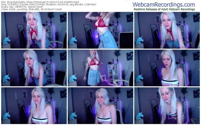 2024/07/03/stripchat-mermaid_n-02-08-55