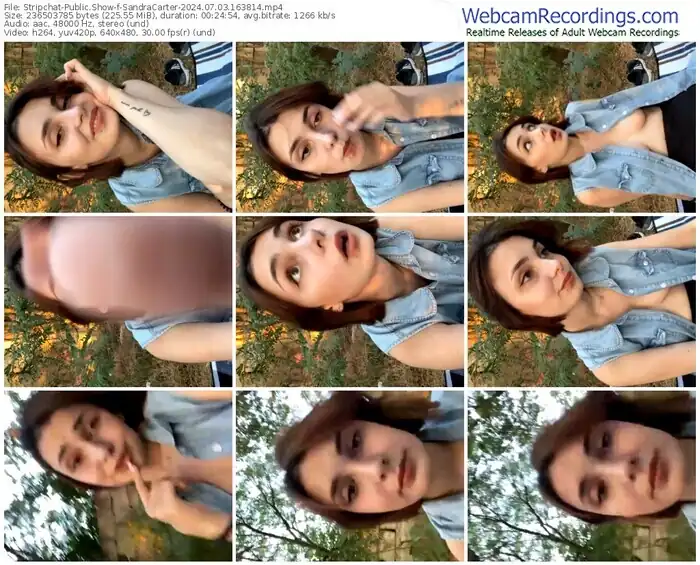 2024/07/03/stripchat-sandracarter-16-38-14