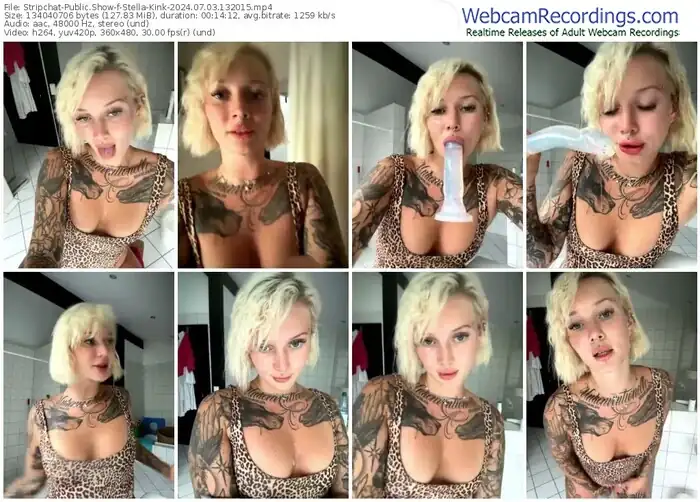 2024/07/03/stripchat-stella-kink-13-20-15