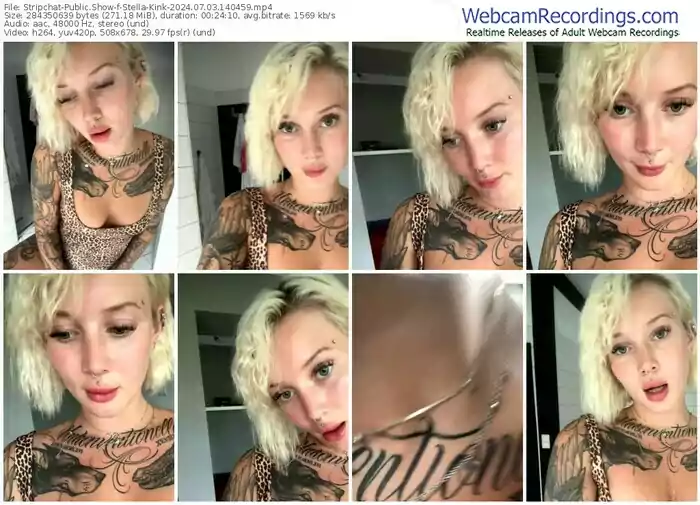 2024/07/03/stripchat-stella-kink-14-04-59