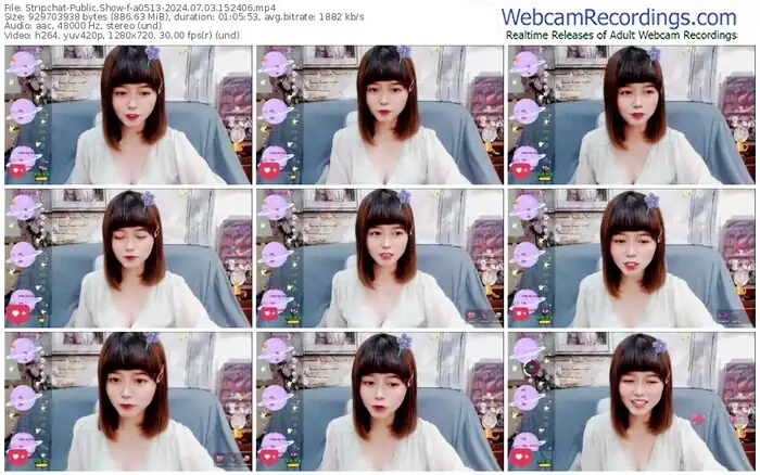 2024/07/03/stripchat-a0513-15-24-06