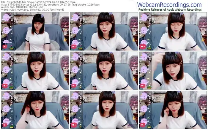 2024/07/03/stripchat-a0513-18-46-56