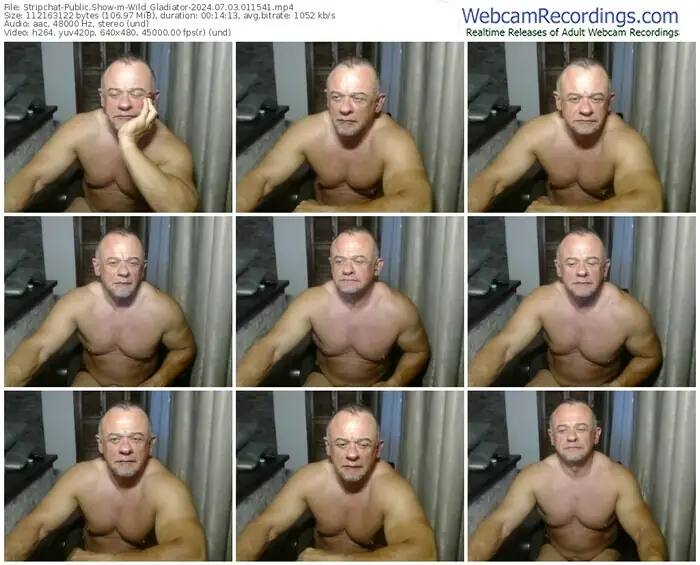 2024/07/03/stripchat-wild_gladiator-01-15-41