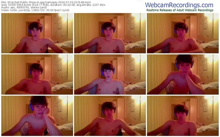 2024/07/03/stripchat-gaygamogey-21-01-48
