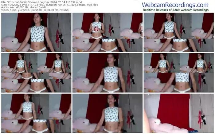 2024/07/04/stripchat-zoe_max-11-30-32