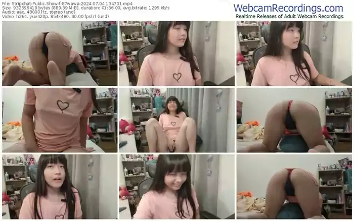 2024/07/04/stripchat-87wawa-13-47-01