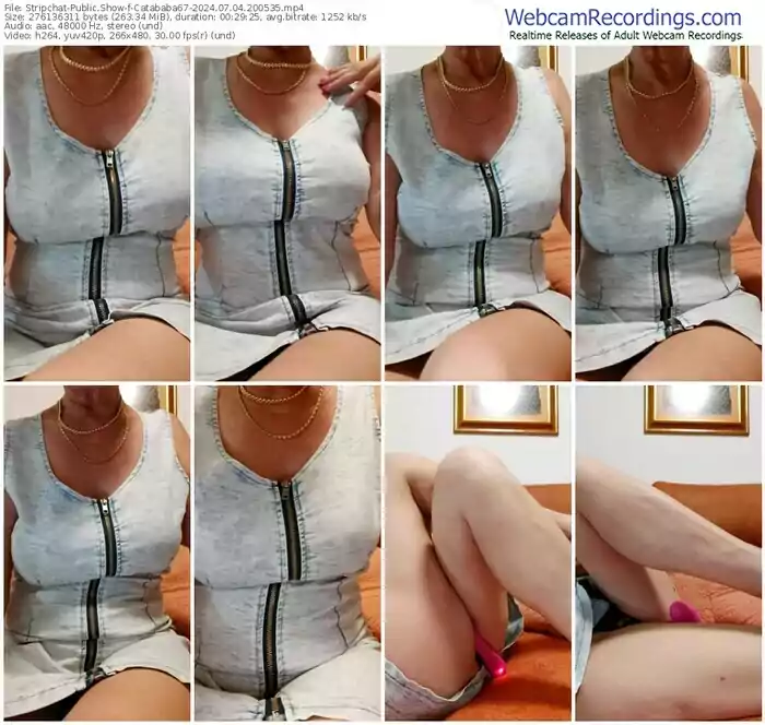 2024/07/04/stripchat-catababa67-20-05-35