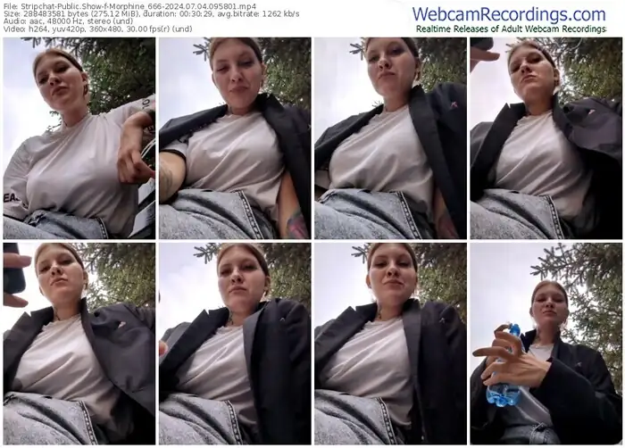2024/07/04/stripchat-morphine_666-09-58-01
