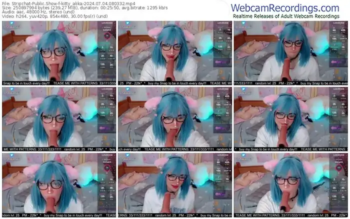 2024/07/04/stripchat-kitty_alika-08-03-32