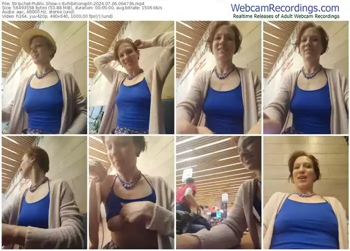 2024/07/06/stripchat-exhibitionsplit-06-47-36