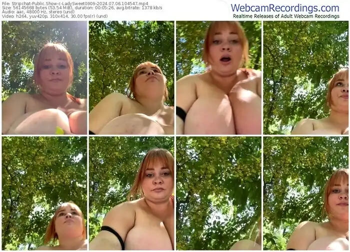 2024/07/06/stripchat-ladysweet0909-10-45-47