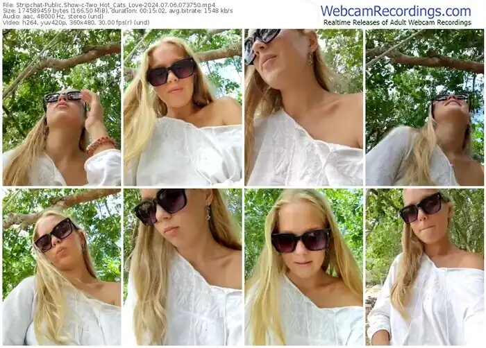 2024/07/06/stripchat-two_hot_cats_love-07-37-50