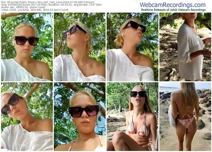 2024/07/06/stripchat-two_hot_cats_love-08-57-18