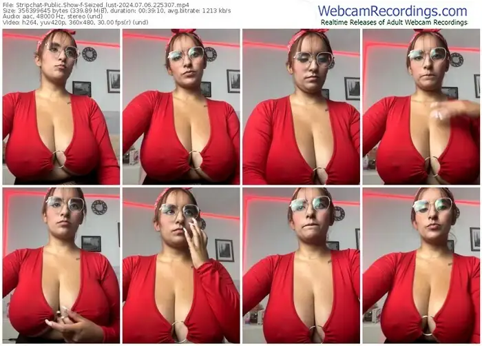 2024/07/06/stripchat-seized_lust-22-53-07