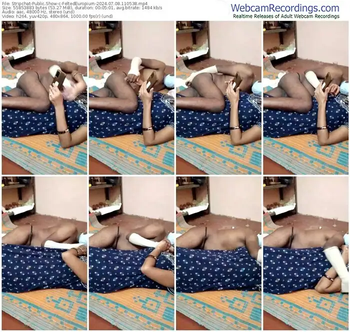 2024/07/08/stripchat-feltedeuropium-11-05-38