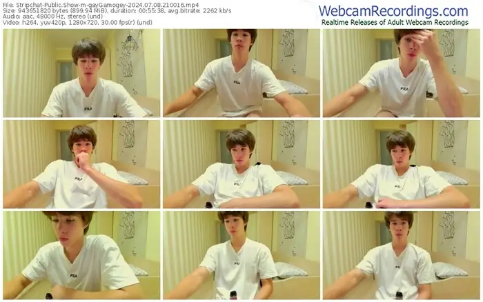 2024/07/08/stripchat-gaygamogey-21-00-16