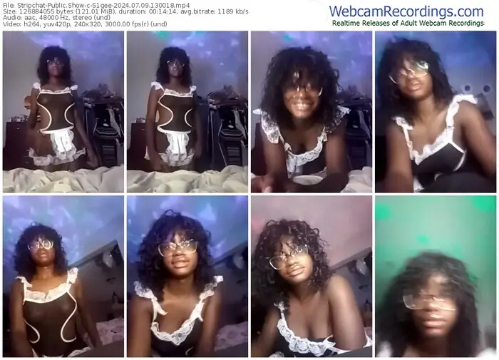 2024/07/09/stripchat-s1gee-13-00-18