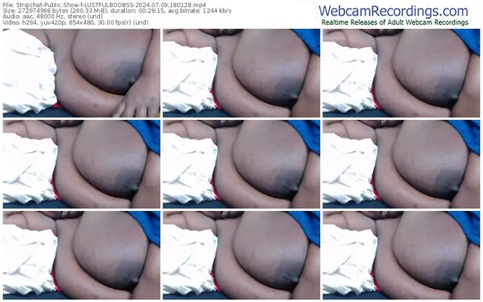2024/07/09/stripchat-lustfulboobss-18-01-28
