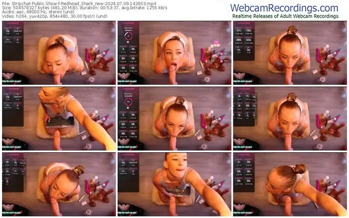 2024/07/09/stripchat-redhead_shark_new-14-26-03