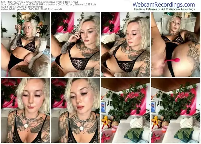 2024/07/09/stripchat-stella-kink-14-05-15