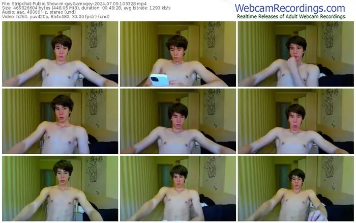 2024/07/09/stripchat-gaygamogey-10-33-28